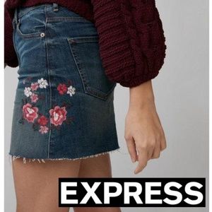 Express -Embroidered Denim A-line Mini Skirt